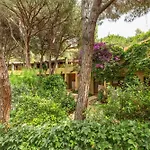 Pinus Santa Margherita di Pula