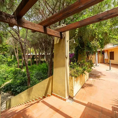 Pinus * Santa Margherita di Pula