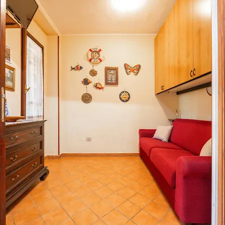 아파트 Pinus
