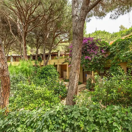 Pinus Santa Margherita di Pula